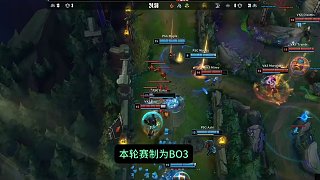 南虎vs 南虎vs